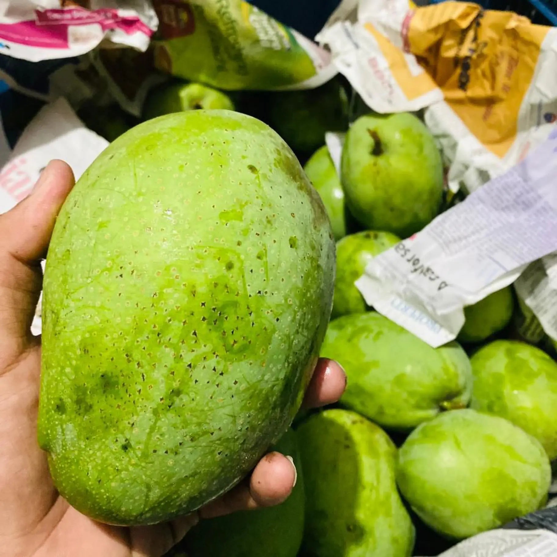 Himampasand Mango - ₹300/Kg