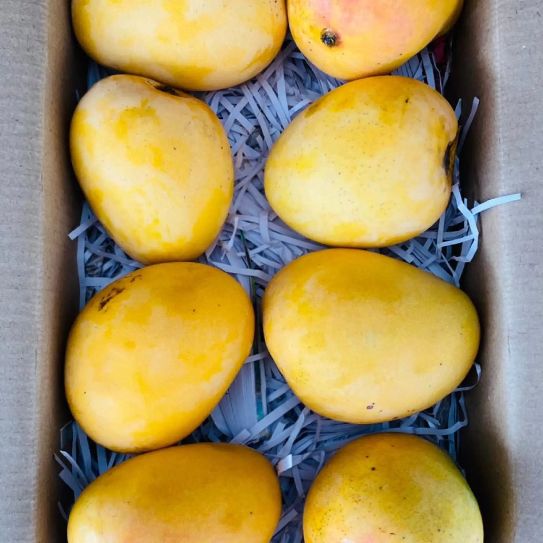 Jawahari Mango - ₹200/Kg