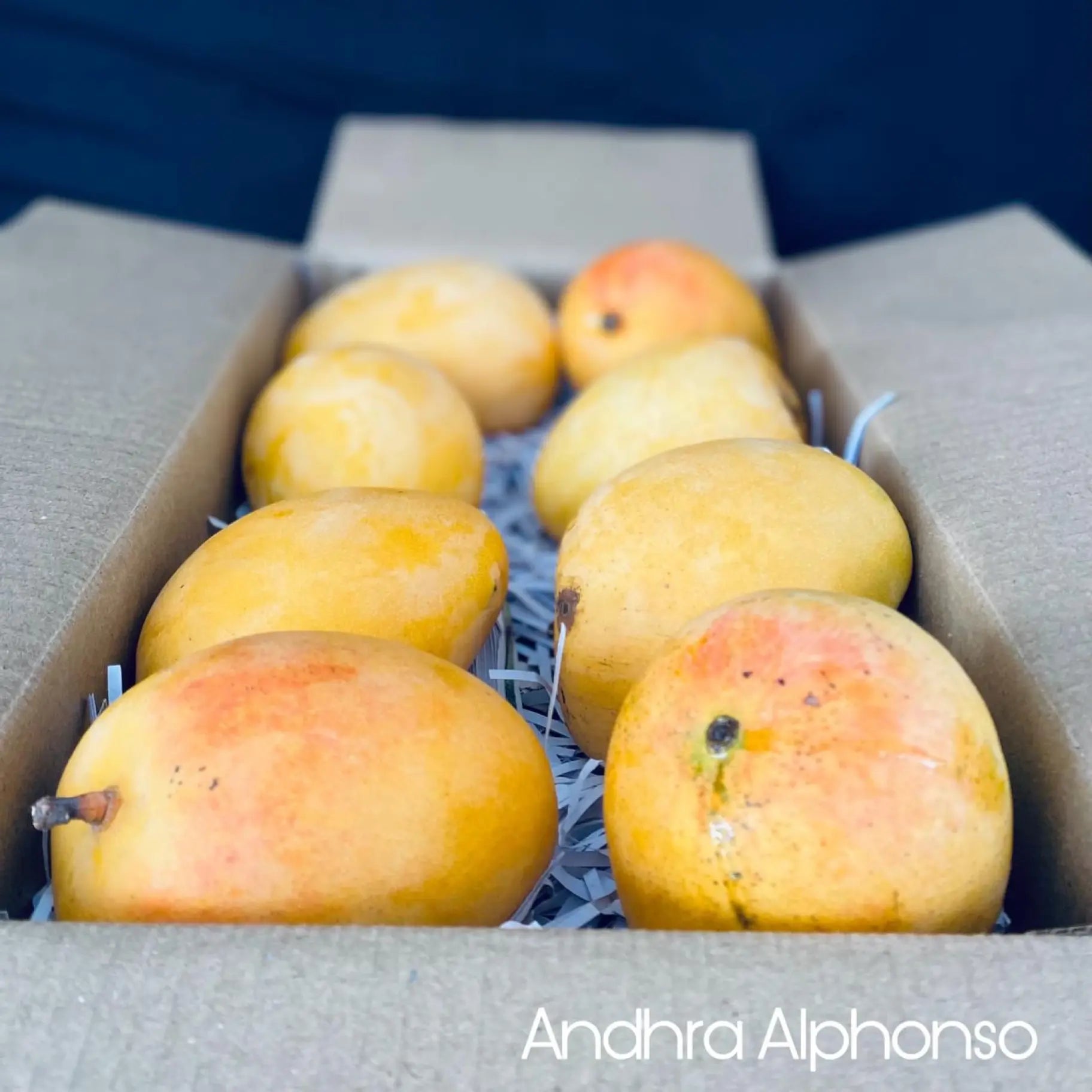 Jawahari Mango - ₹200/Kg